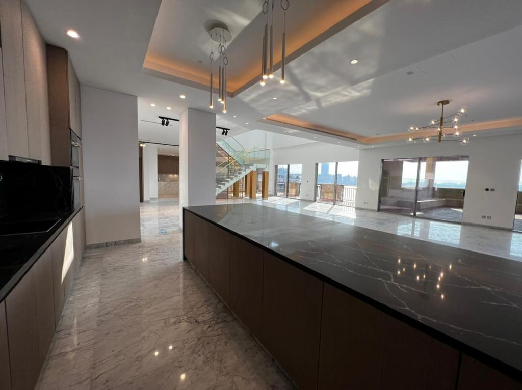Ready w/in 8 months | Luxury Penthouse | Palm view-pic_2